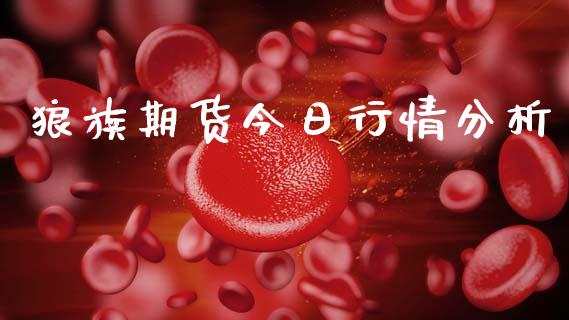 狼族期货今日行情分析_https://www.kuaijiepai.net_国际期货_第1张