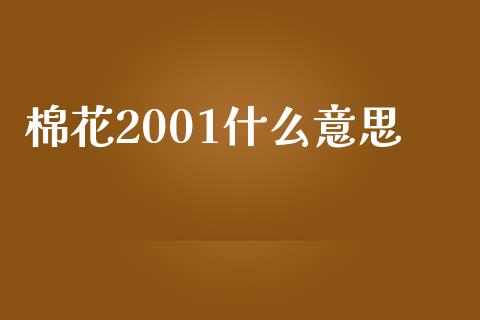 棉花2001什么意思_https://www.kuaijiepai.net_国际期货_第1张