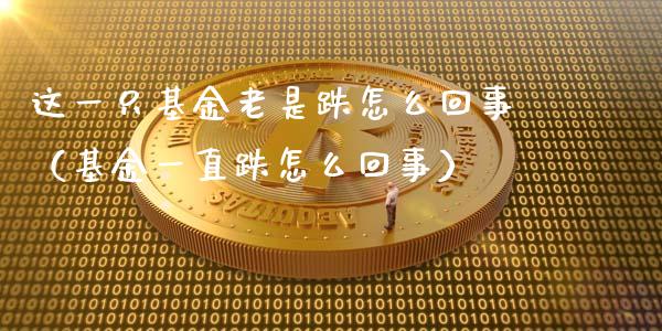 这一只基金老是跌怎么回事（基金一直跌怎么回事）_https://www.kuaijiepai.net_期货理财_第1张