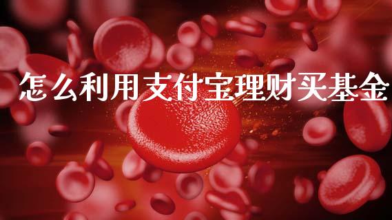 怎么利用支付宝理财买基金_https://www.kuaijiepai.net_投资理财_第1张