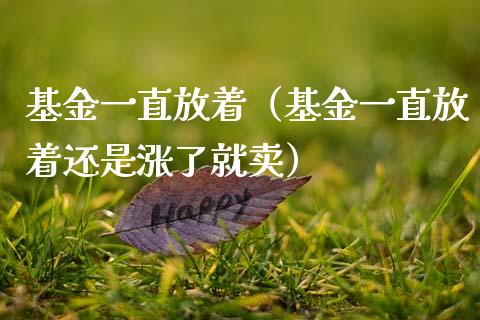 基金一直放着（基金一直放着还是涨了就卖）_https://www.kuaijiepai.net_投资理财_第1张