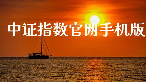 中证指数官网手机版_https://www.kuaijiepai.net_期货在线_第1张