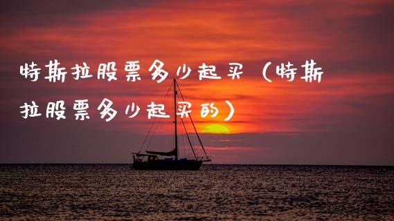 特斯拉股票多少起买（特斯拉股票多少起买的）_https://www.kuaijiepai.net_股票理论_第1张