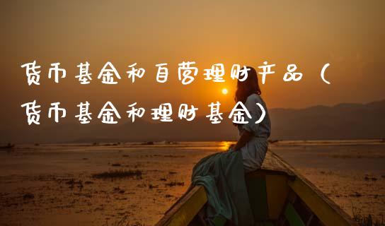 货币基金和自营理财产品（货币基金和理财基金）_https://www.kuaijiepai.net_投资理财_第1张