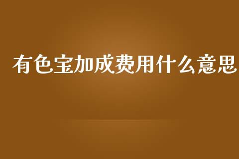 有色宝加成费用什么意思_https://www.kuaijiepai.net_国际股建_第1张