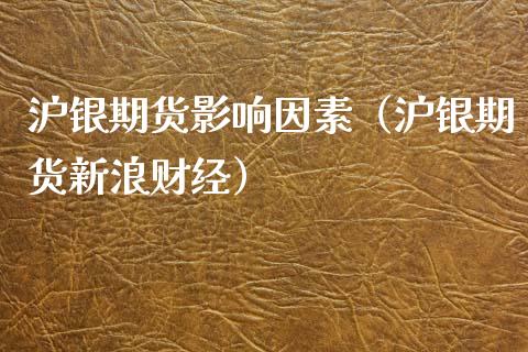 沪银期货影响因素（沪银期货新浪财经）_https://www.kuaijiepai.net_期货资讯_第1张