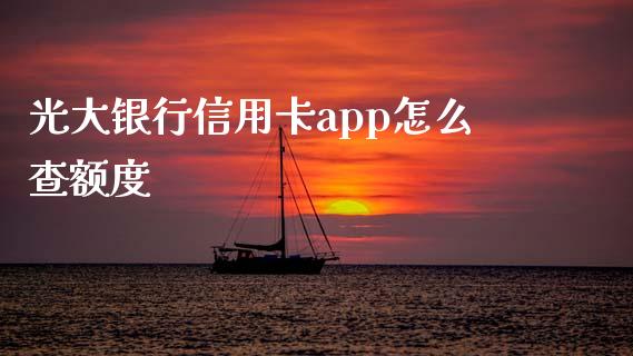 光大银行信用卡app怎么查额度_https://www.kuaijiepai.net_国际股建_第1张