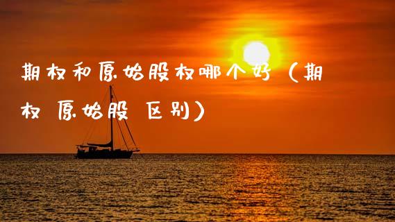期权和原始股权哪个好（期权 原始股 区别）_https://www.kuaijiepai.net_国际期货_第1张