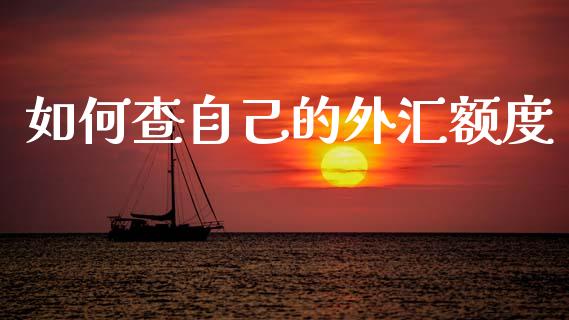 如何查自己的外汇额度_https://www.kuaijiepai.net_期货资讯_第1张