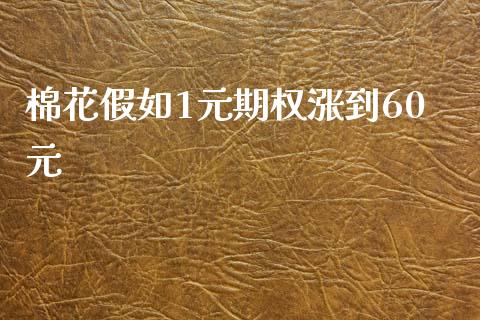 棉花假如1元期权涨到60元_https://www.kuaijiepai.net_国际期货_第1张