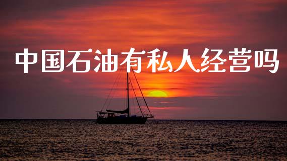 中国石油有私人经营吗_https://www.kuaijiepai.net_期货在线_第1张