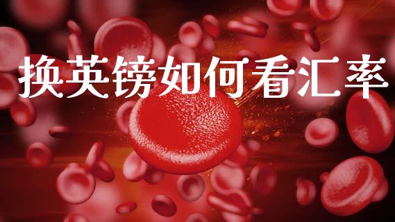 换英镑如何看汇率_https://www.kuaijiepai.net_新股新闻_第1张