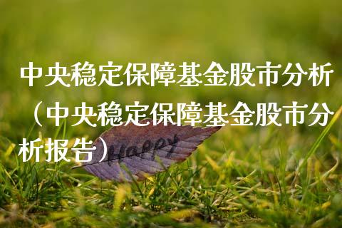 中央稳定保障基金股市分析（中央稳定保障基金股市分析报告）_https://www.kuaijiepai.net_期货理财_第1张