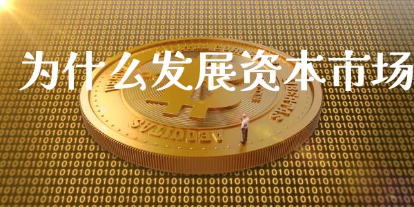 为什么发展资本市场_https://www.kuaijiepai.net_期货在线_第1张