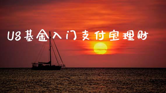 U8基金入门支付宝理财_https://www.kuaijiepai.net_投资理财_第1张