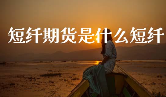 短纤期货是什么短纤_https://www.kuaijiepai.net_期货资讯_第1张