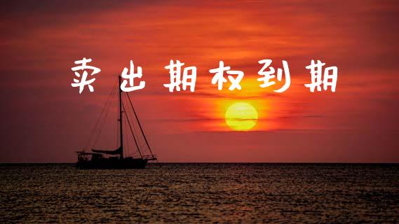 卖出期权到期_https://www.kuaijiepai.net_国际股建_第1张