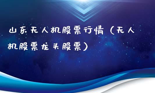 山东无人机股票行情（无人机股票龙头股票）_https://www.kuaijiepai.net_国际股建_第1张