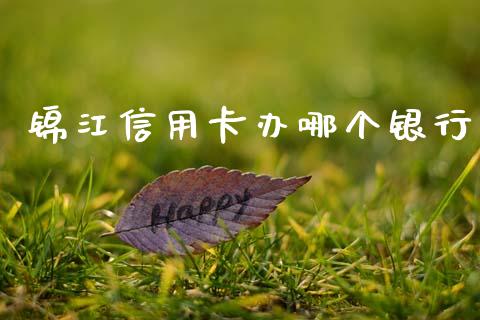 锦江信用卡办哪个银行_https://www.kuaijiepai.net_期货资讯_第1张