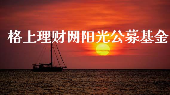 格上理财网阳光公募基金_https://www.kuaijiepai.net_投资理财_第1张
