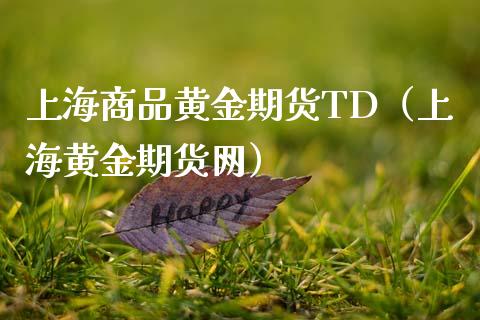 上海商品黄金期货TD（上海黄金期货网）_https://www.kuaijiepai.net_国际期货_第1张
