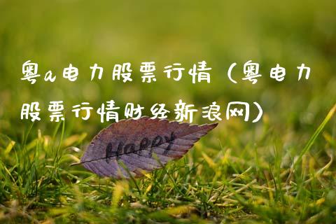 粤a电力股票行情（粤电力股票行情财经新浪网）_https://www.kuaijiepai.net_国际股建_第1张