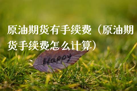 原油期货有手续费（原油期货手续费怎么计算）_https://www.kuaijiepai.net_国际期货_第1张