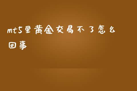mt5里黄金交易不了怎么回事_https://www.kuaijiepai.net_国际期货_第1张