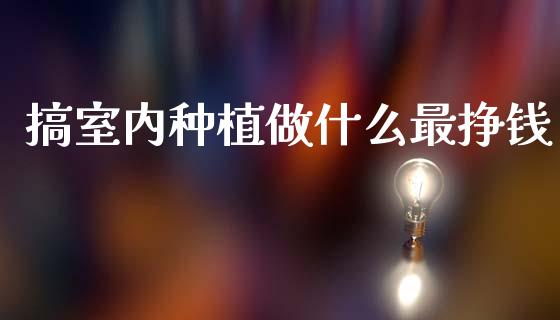 搞室内种植做什么最挣钱_https://www.kuaijiepai.net_期货资讯_第1张
