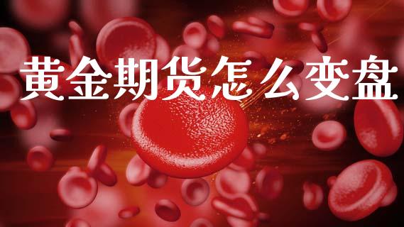 黄金期货怎么变盘_https://www.kuaijiepai.net_期货资讯_第1张