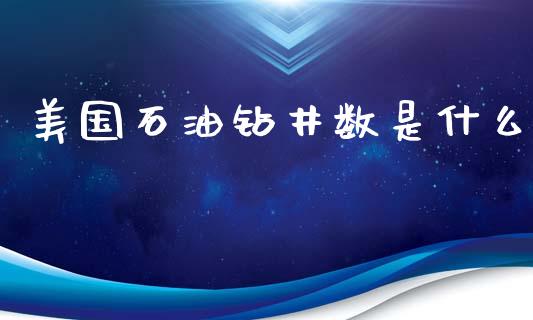 美国石油钻井数是什么_https://www.kuaijiepai.net_国际期货_第1张