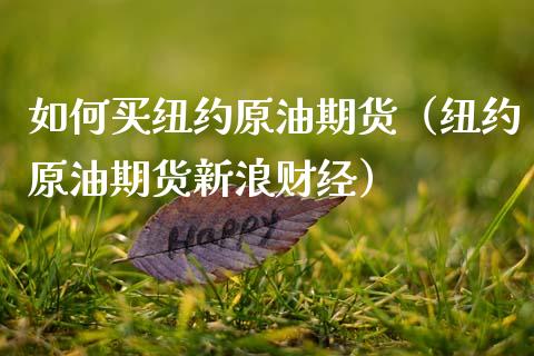 如何买纽约原油期货（纽约原油期货新浪财经）_https://www.kuaijiepai.net_国际期货_第1张