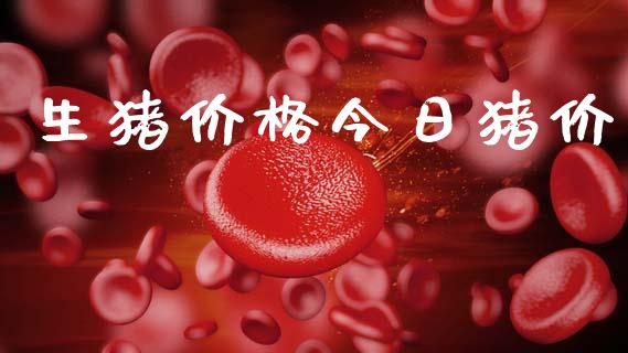 生猪价格今日猪价_https://www.kuaijiepai.net_期货在线_第1张