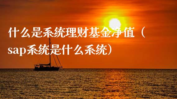 什么是系统理财基金净值（sap系统是什么系统）_https://www.kuaijiepai.net_期货理财_第1张