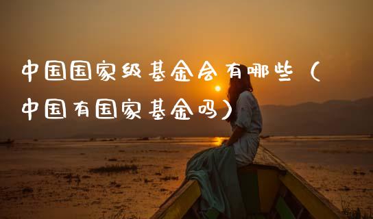 中国国家级基金会有哪些（中国有国家基金吗）_https://www.kuaijiepai.net_期货理财_第1张