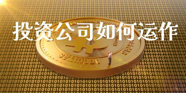 投资公司如何运作_https://www.kuaijiepai.net_股票理论_第1张
