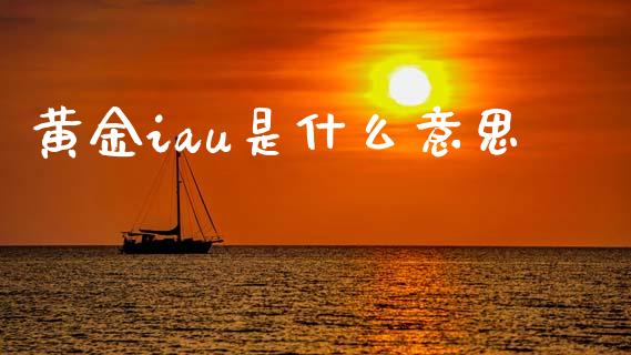 黄金iau是什么意思_https://www.kuaijiepai.net_国际股建_第1张