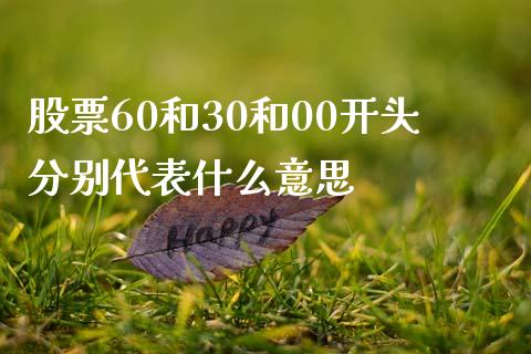 股票60和30和00开头分别代表什么意思_https://www.kuaijiepai.net_期货资讯_第1张