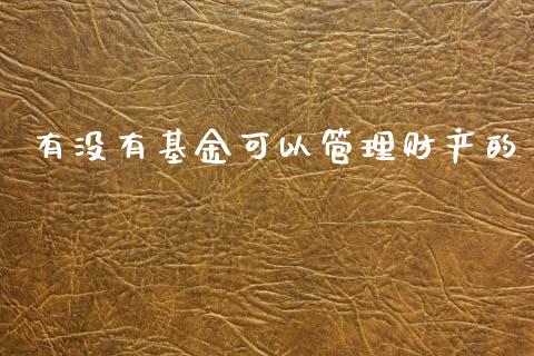 有没有基金可以管理财产的_https://www.kuaijiepai.net_投资理财_第1张