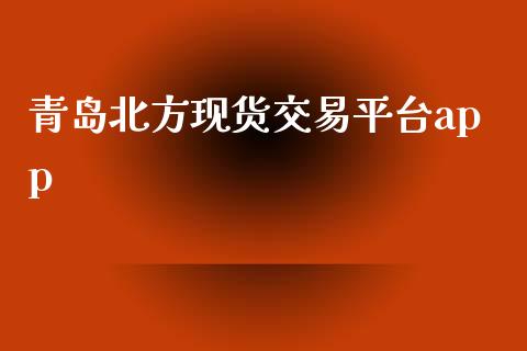青岛北方现货交易平台app_https://www.kuaijiepai.net_期货资讯_第1张