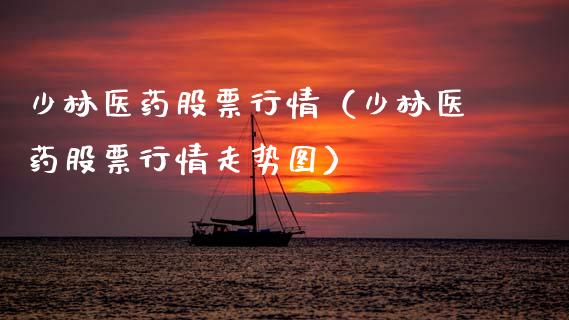 少林医药股票行情（少林医药股票行情走势图）_https://www.kuaijiepai.net_新股新闻_第1张