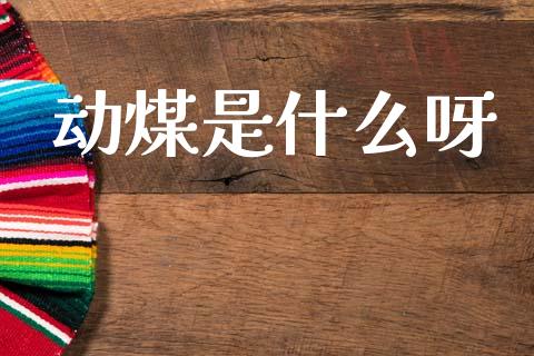 动煤是什么呀_https://www.kuaijiepai.net_新股新闻_第1张