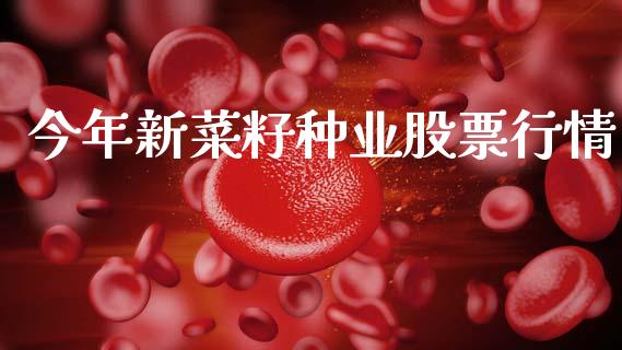 今年新菜籽种业股票行情_https://www.kuaijiepai.net_股票理论_第1张