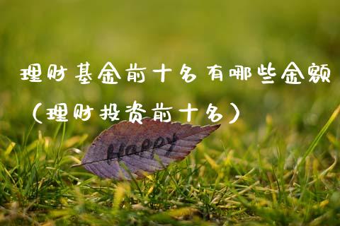 理财基金前十名有哪些金额（理财投资前十名）_https://www.kuaijiepai.net_投资理财_第1张