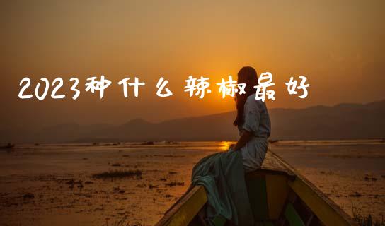 2023种什么辣椒最好_https://www.kuaijiepai.net_期货资讯_第1张