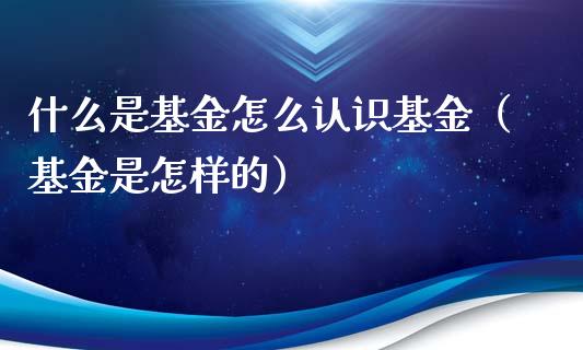 什么是基金怎么认识基金（基金是怎样的）_https://www.kuaijiepai.net_投资理财_第1张