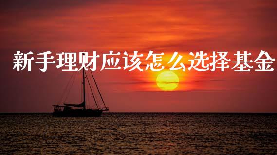 新手理财应该怎么选择基金_https://www.kuaijiepai.net_期货理财_第1张