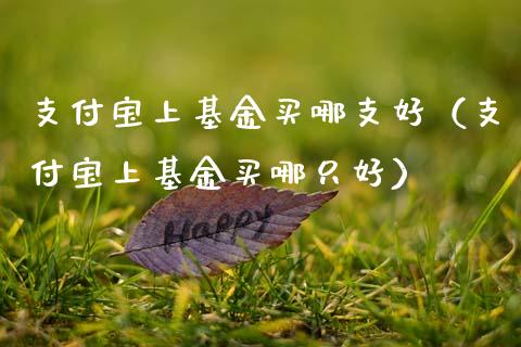 支付宝上基金买哪支好（支付宝上基金买哪只好）_https://www.kuaijiepai.net_期货理财_第1张