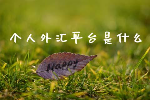 个人外汇平台是什么_https://www.kuaijiepai.net_投资理财_第1张
