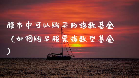 股市中可以购买的指数基金（如何购买股票指数型基金）_https://www.kuaijiepai.net_期货理财_第1张